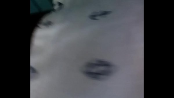 20170821 113852~3